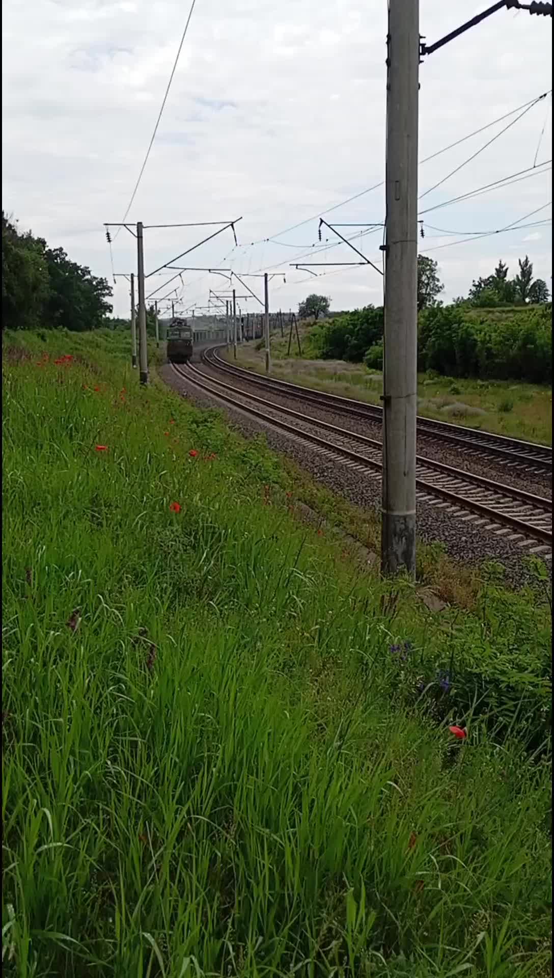 @🚄🇺🇦n_a_z_a_r_c_h_i_k🇺🇦🚈