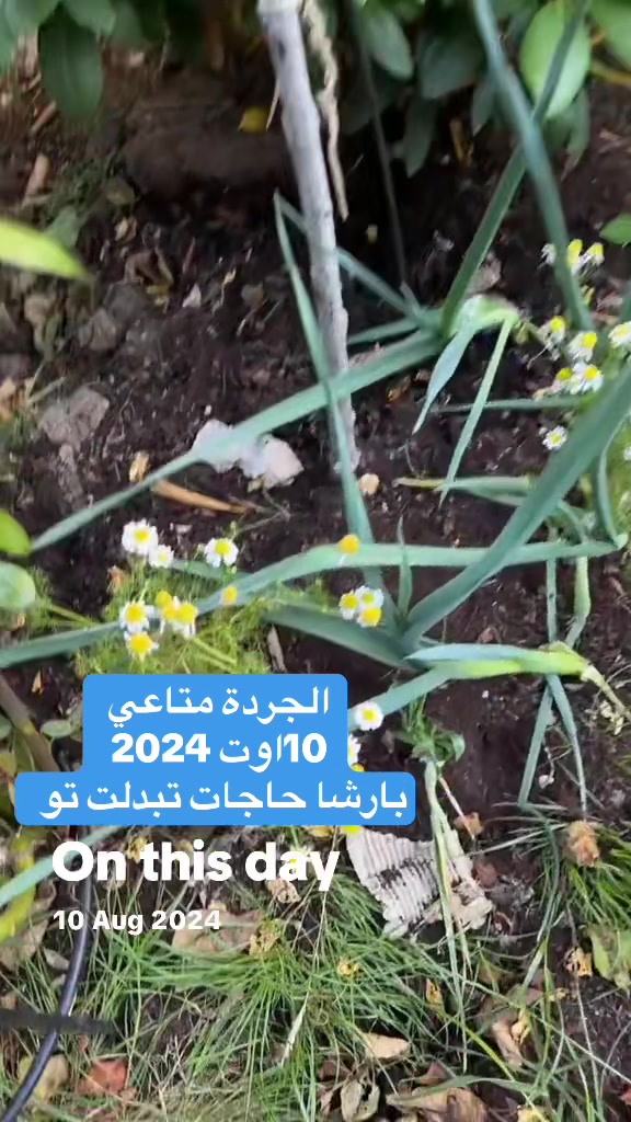 @Hanadi هنادي