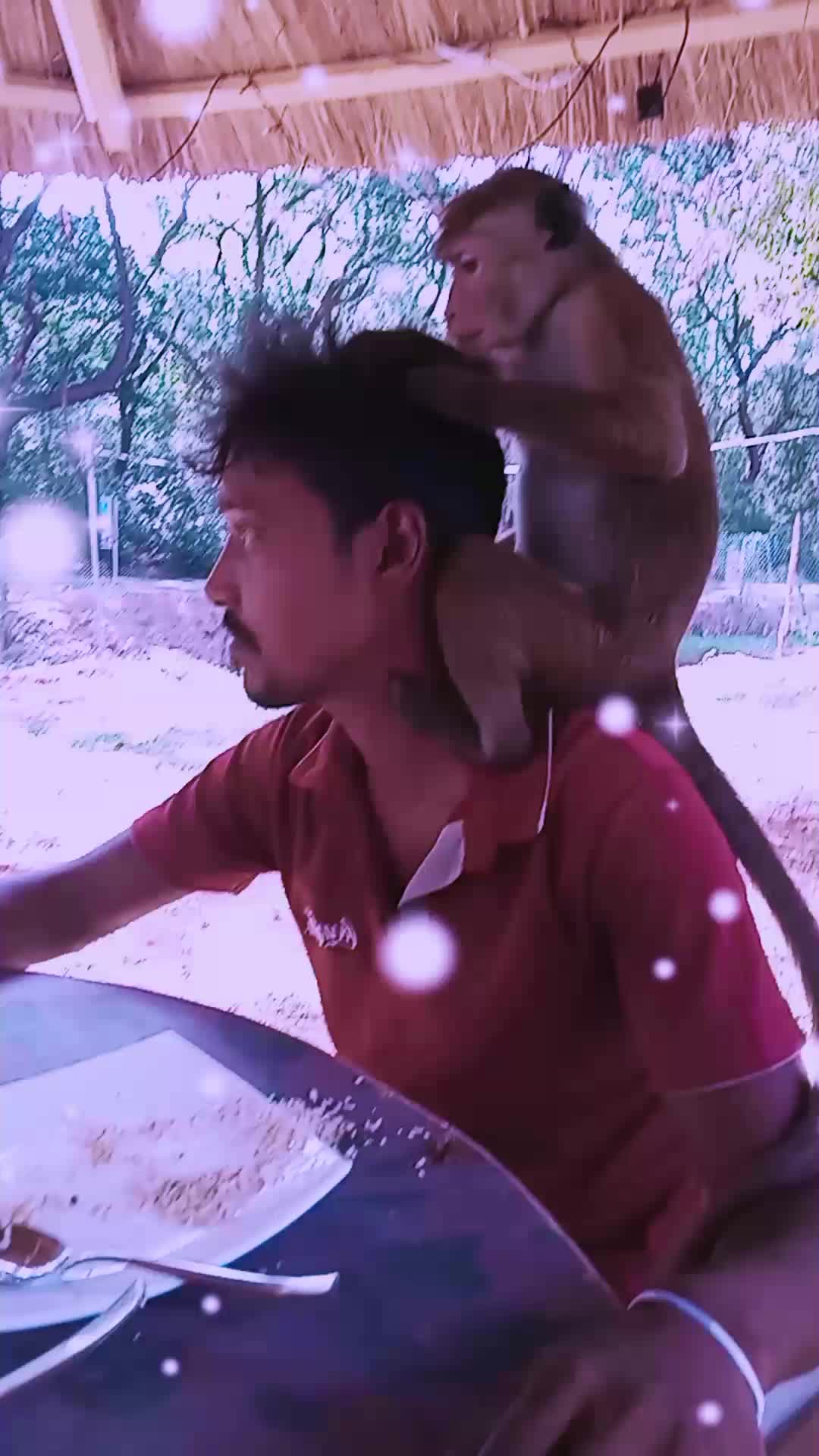 @Ranjith