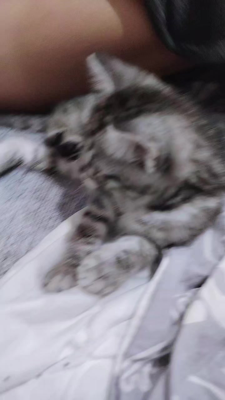 @Tatiana🕊️milaia
