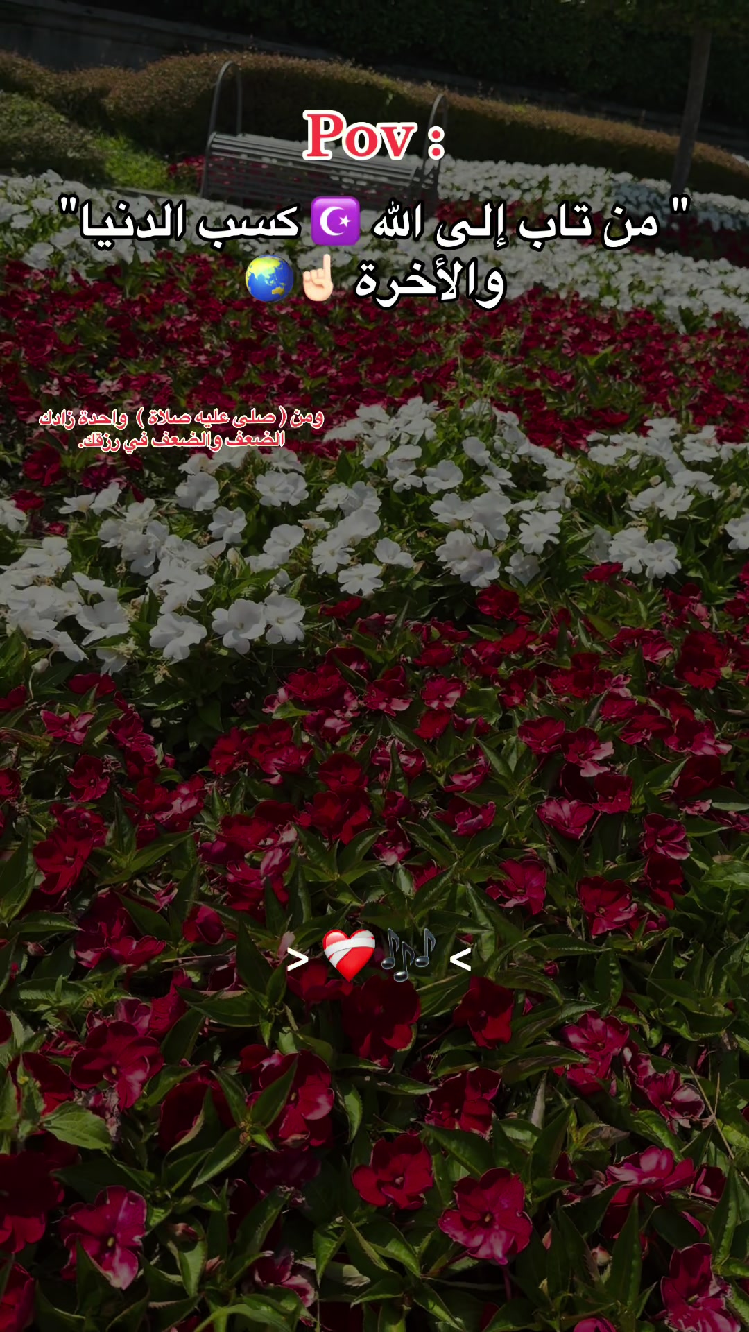 @تيتوالاسيوطي 🔝🎭