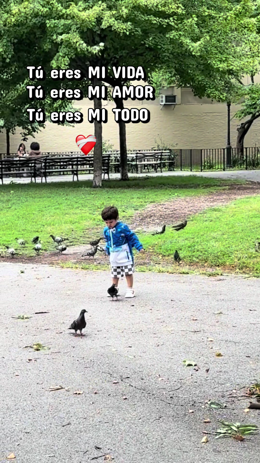 @Carla ᥫ᭡