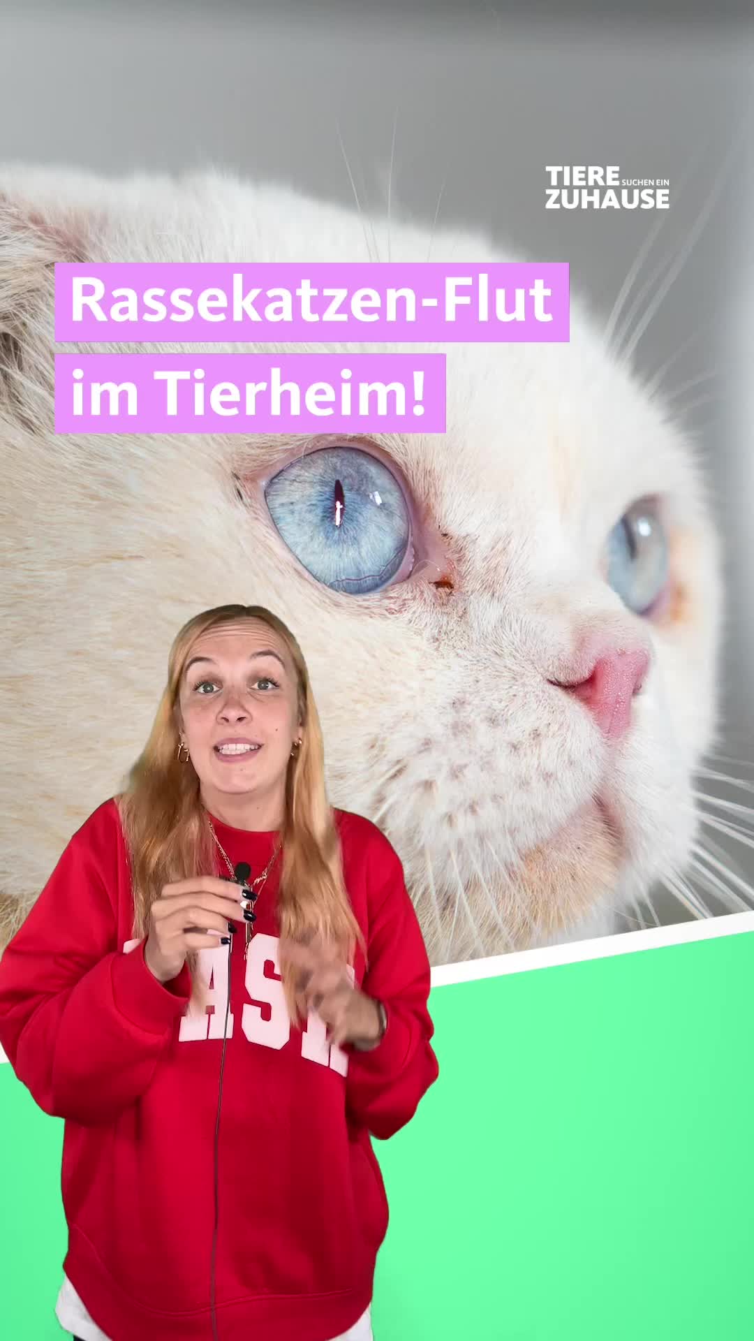 @Tiere suchen ein Zuhause