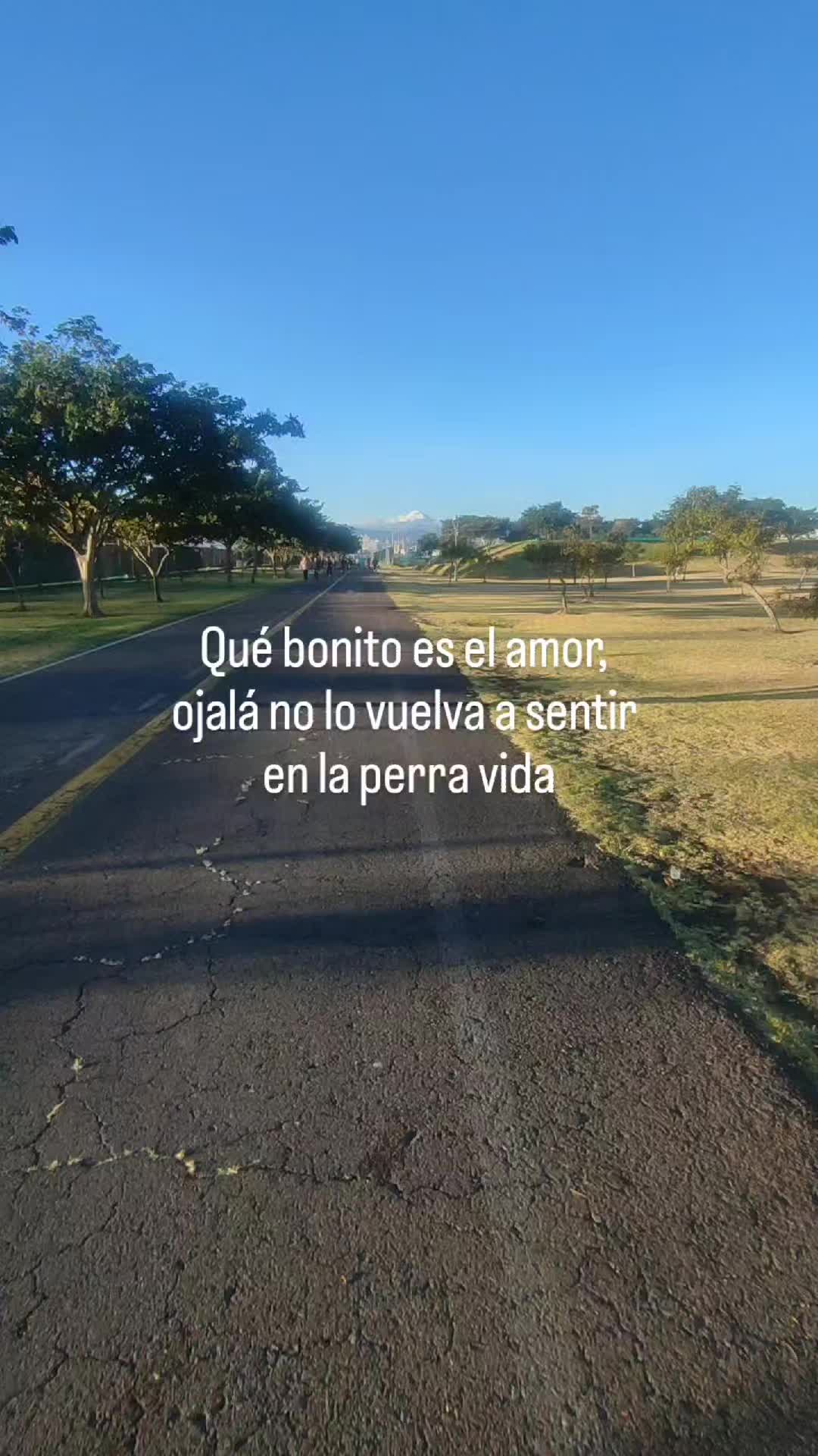 @marc