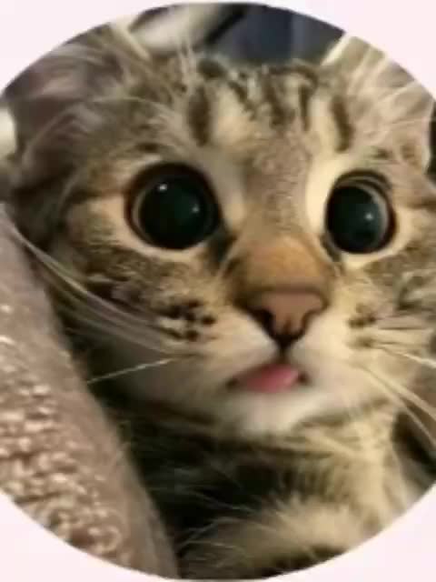 @Arianna