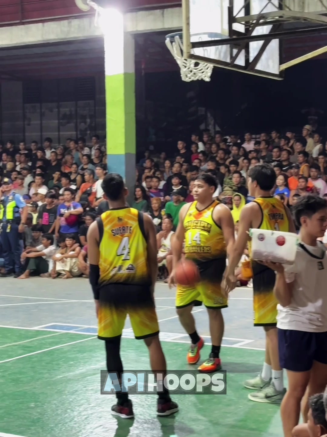 @apihoops_
