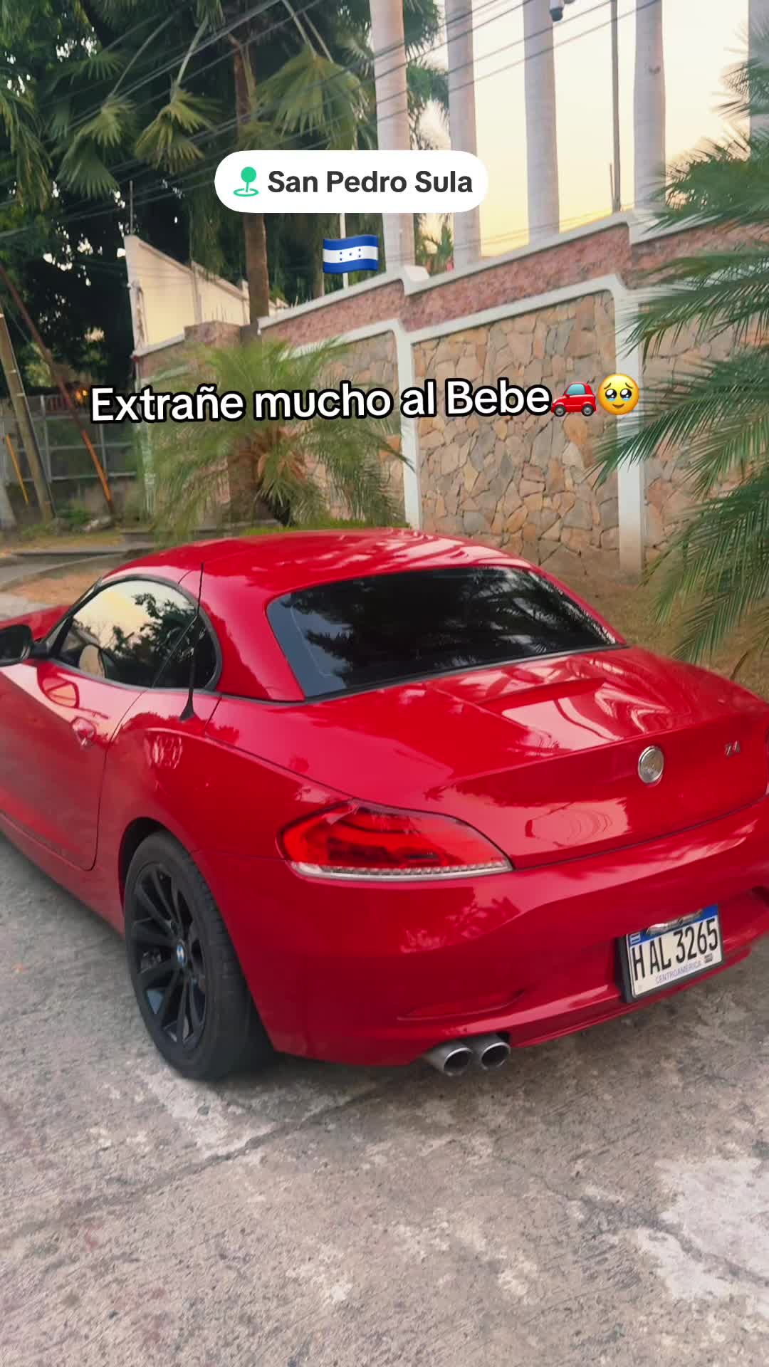 @Nekomejia