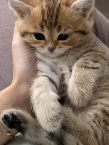 @БУЧ211