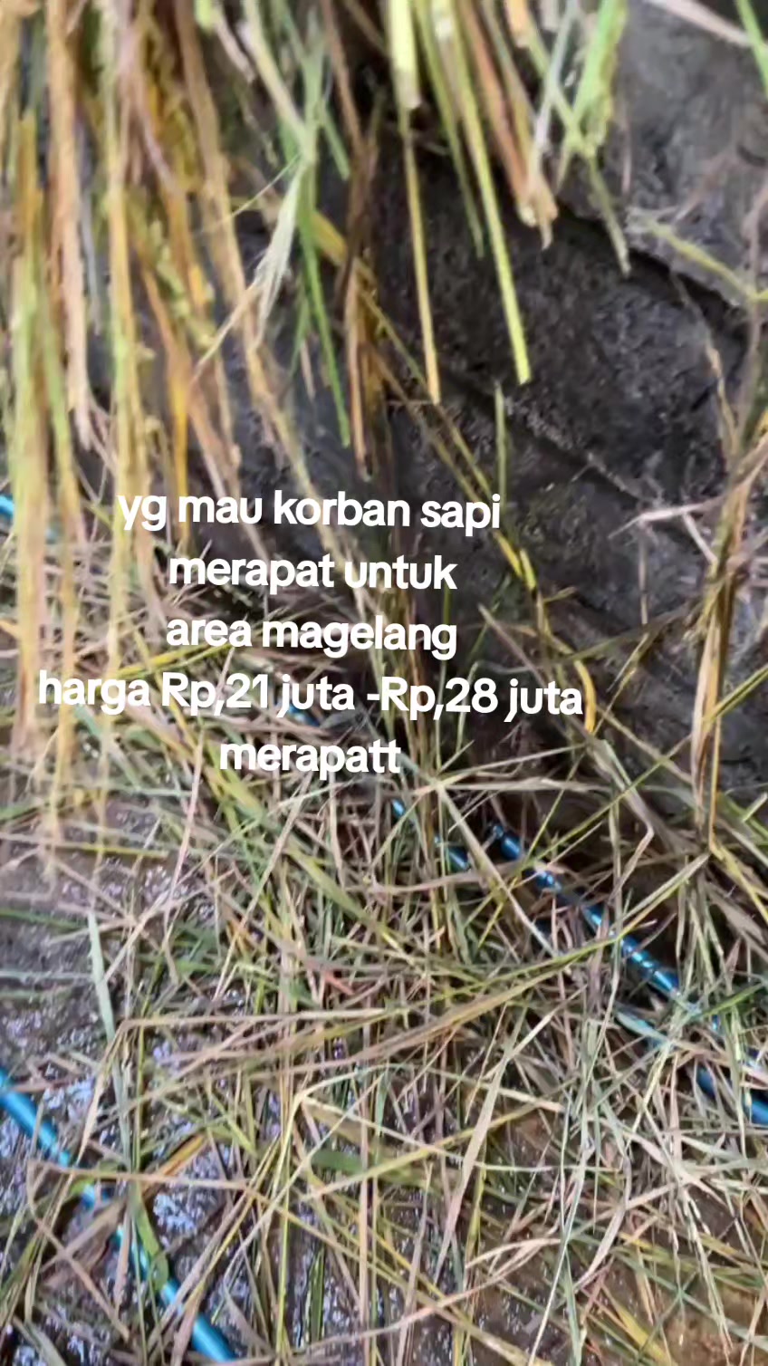 @yuki_pinjaman uang