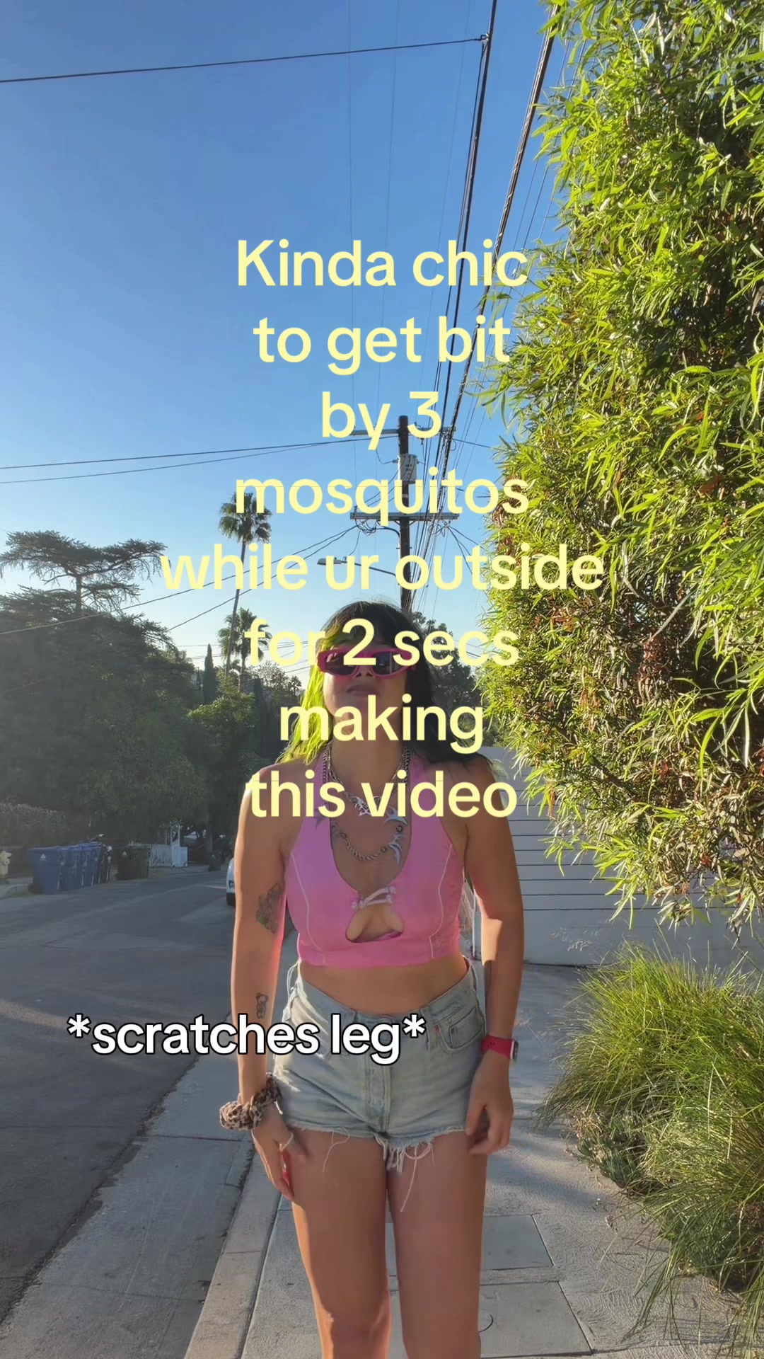 @mini bear