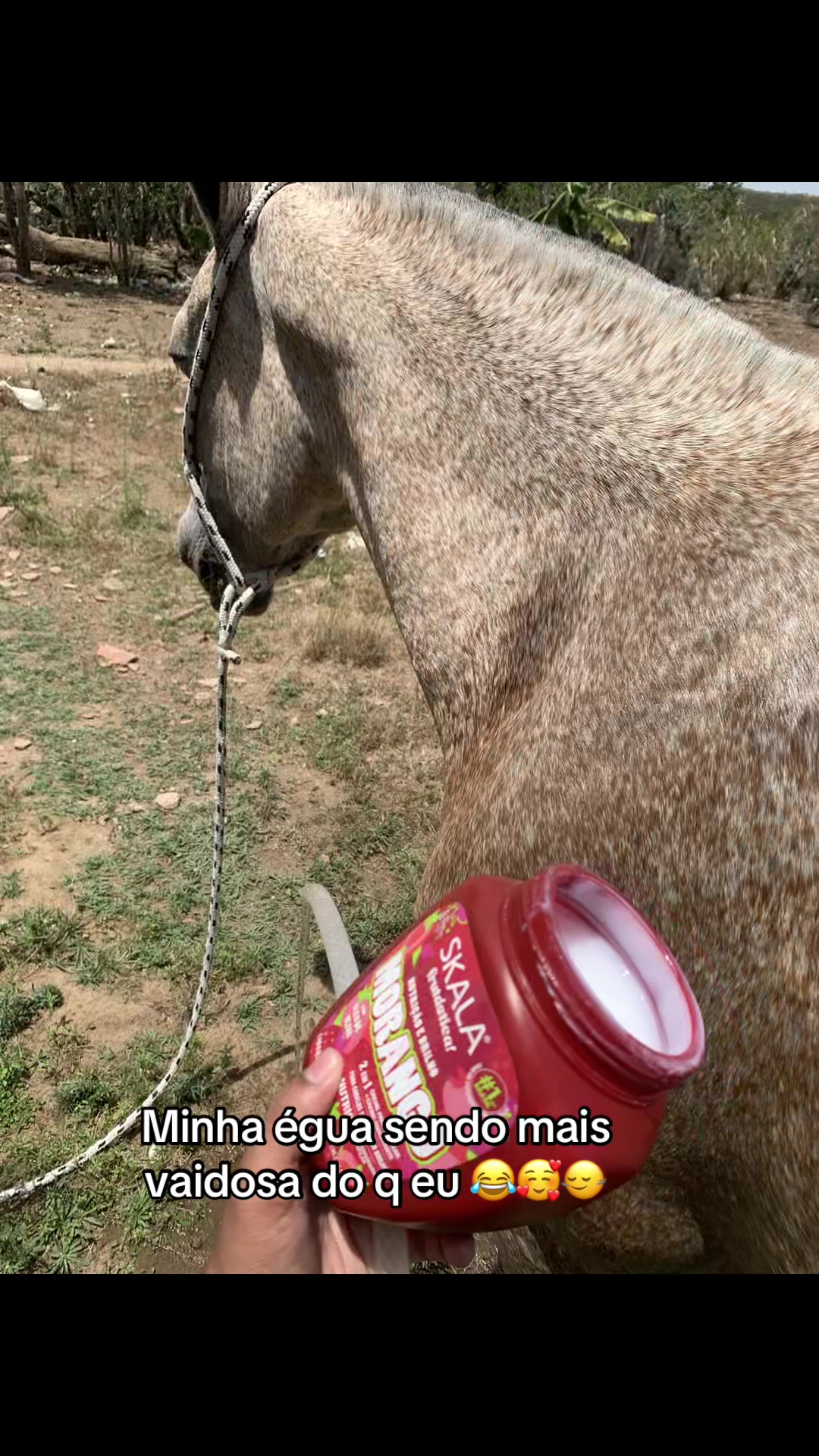 @๐๐ฅ๐ข๐๐ง๐๏ฃฟ