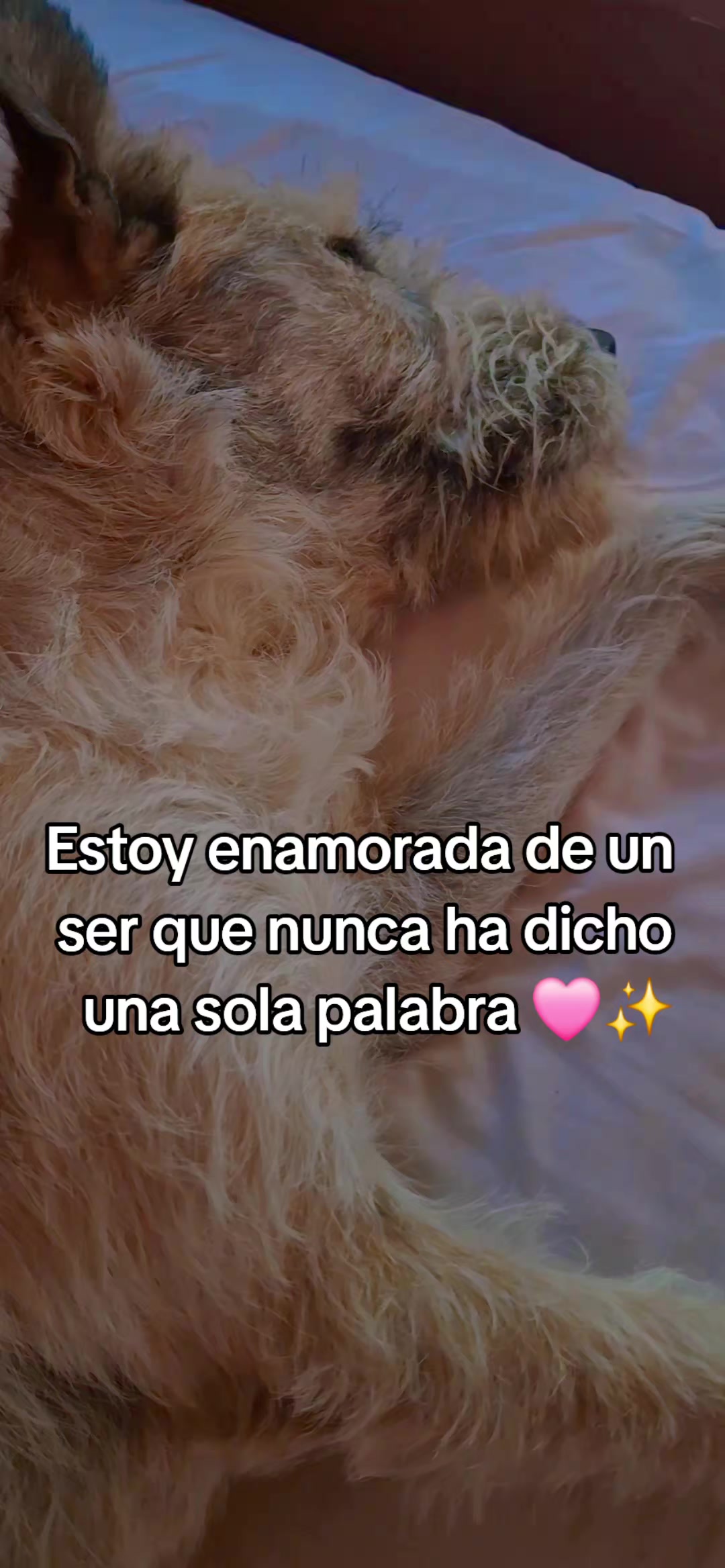 @Itzel Paz A.