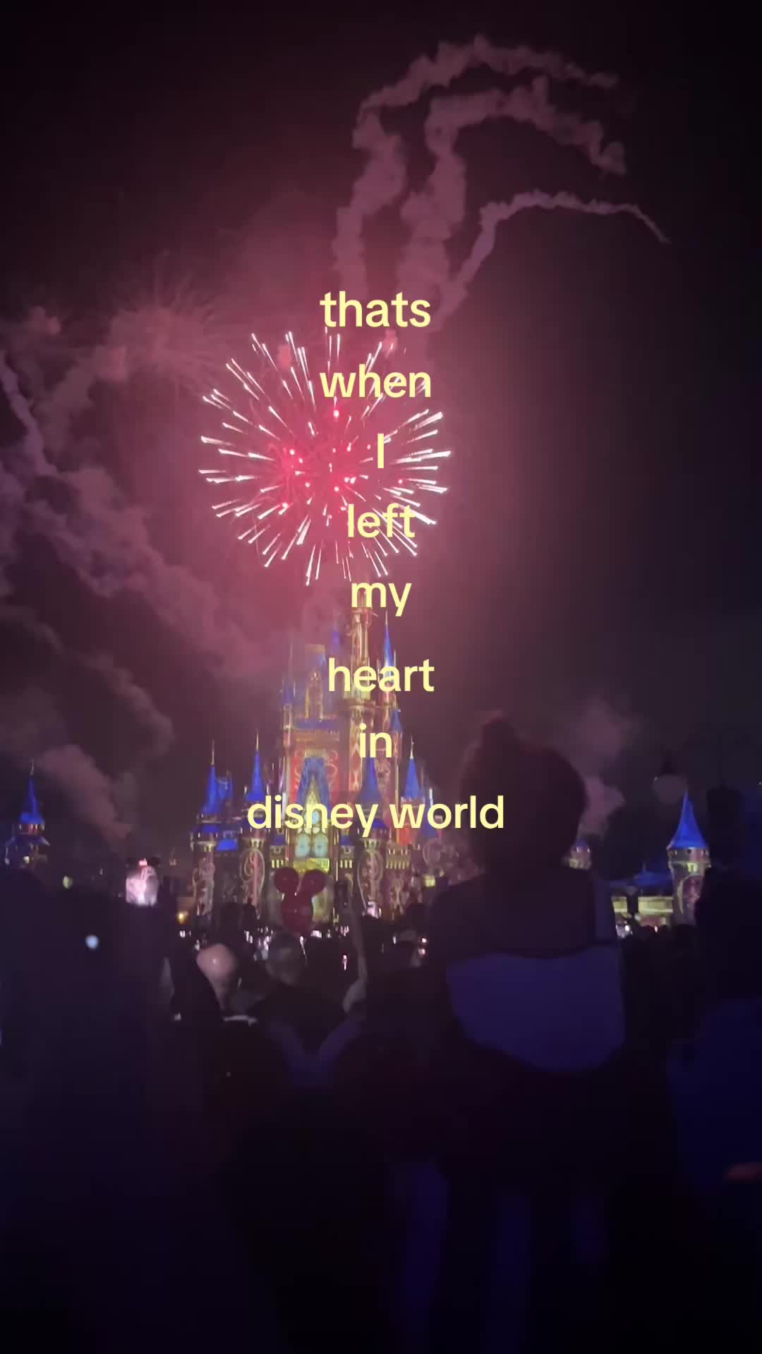 @2disneysisters