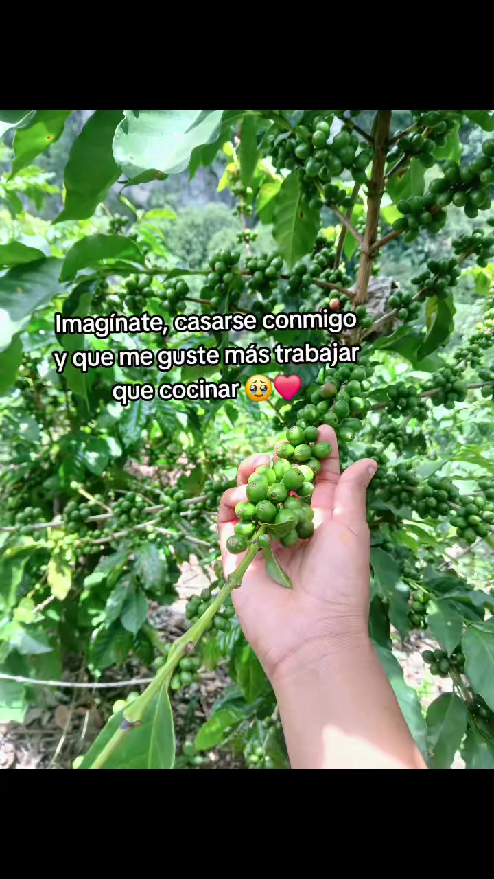 @mi shaparritha toxica❤️&zwj;🩹🫶🏻