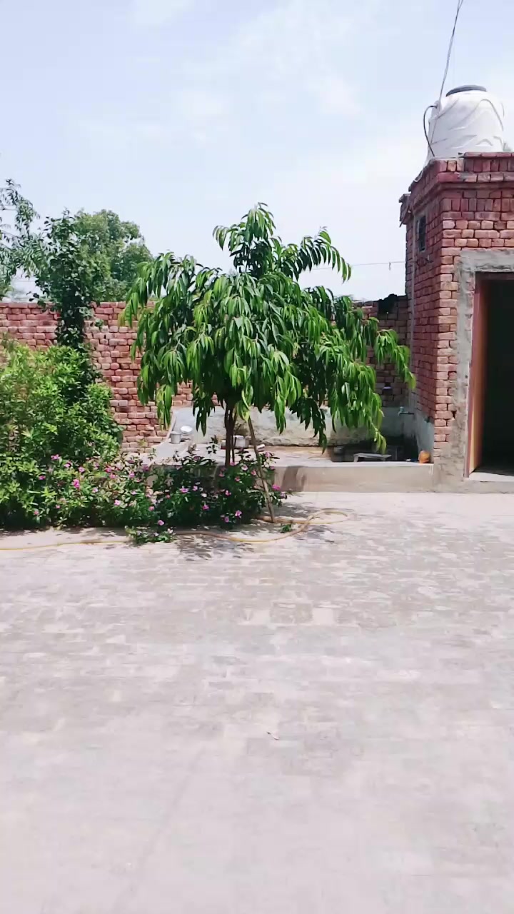 @🌹❤️ lovely💯🤗🌹🌹