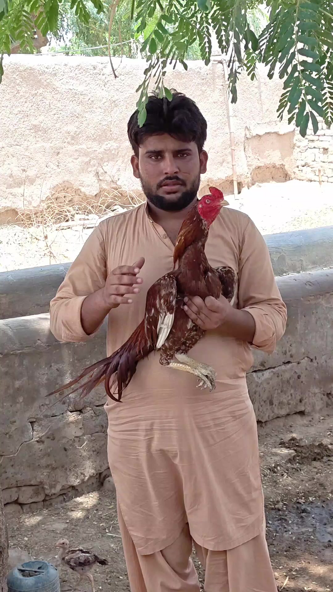 @اشفاق چوہدری 🌺