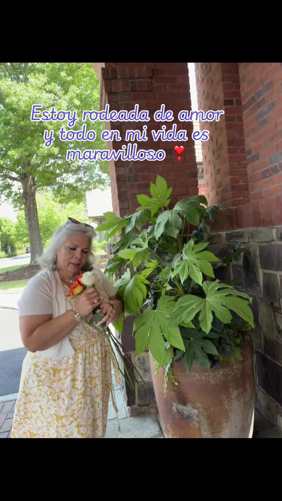 @Nancy Rosado940