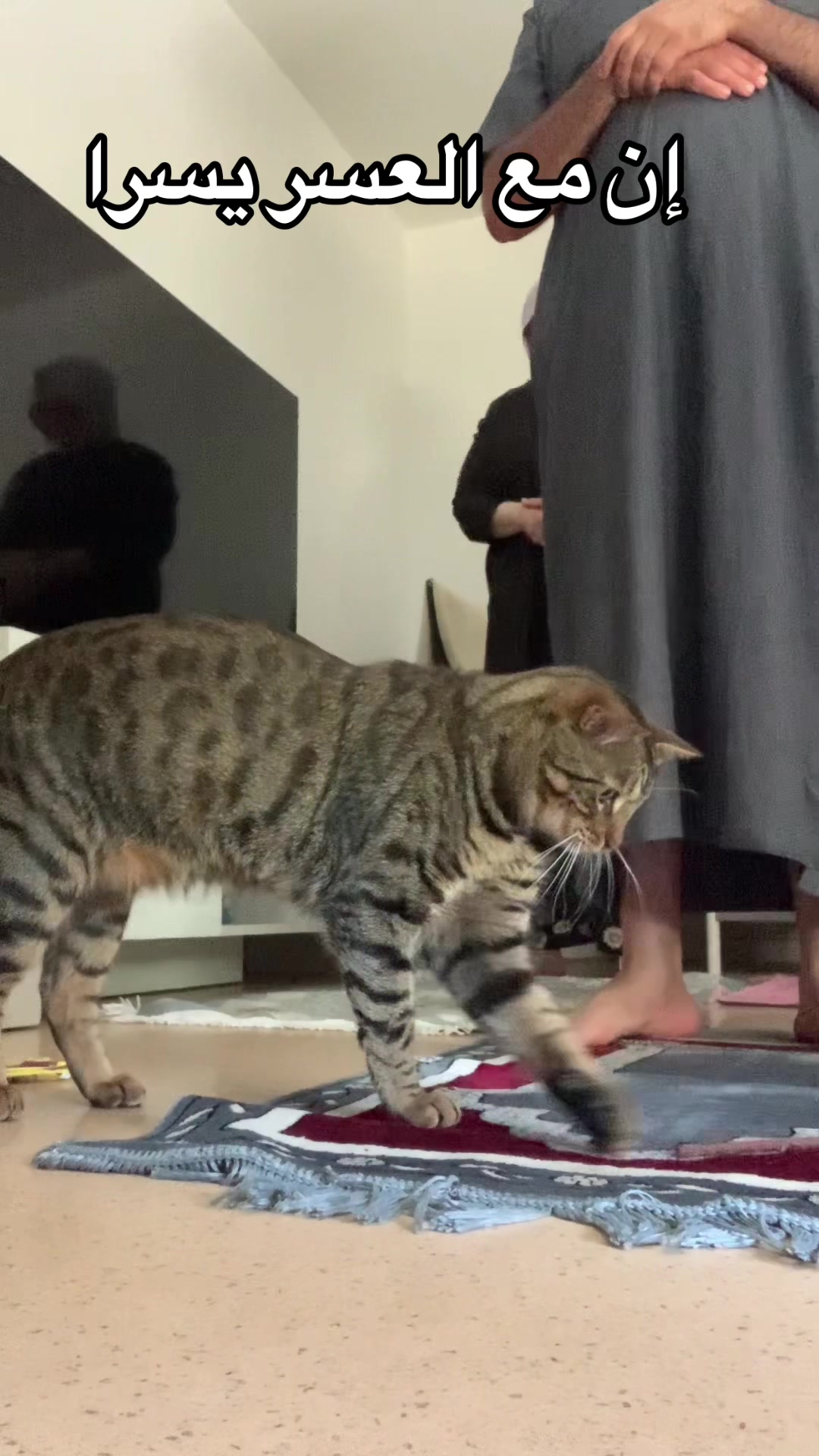 @flasher et simba