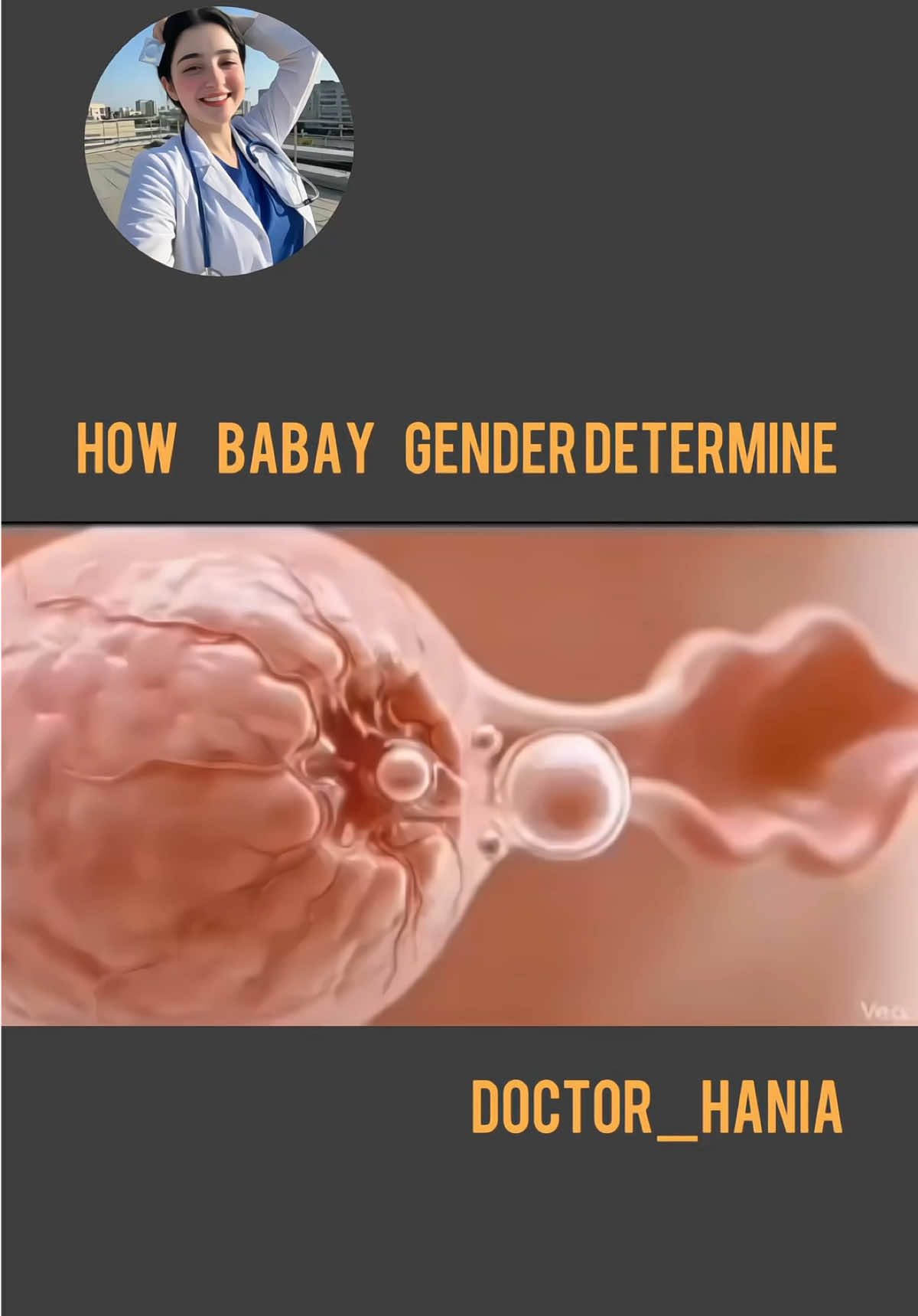 @Doctor Hania