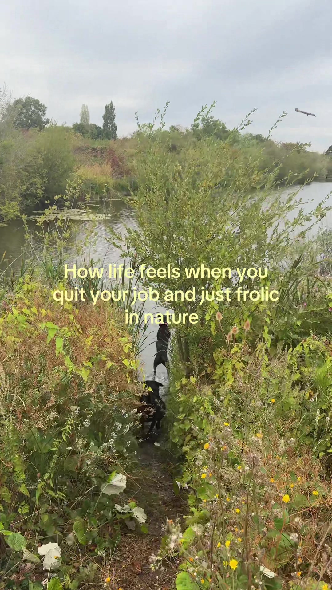 @Olivia 🌸