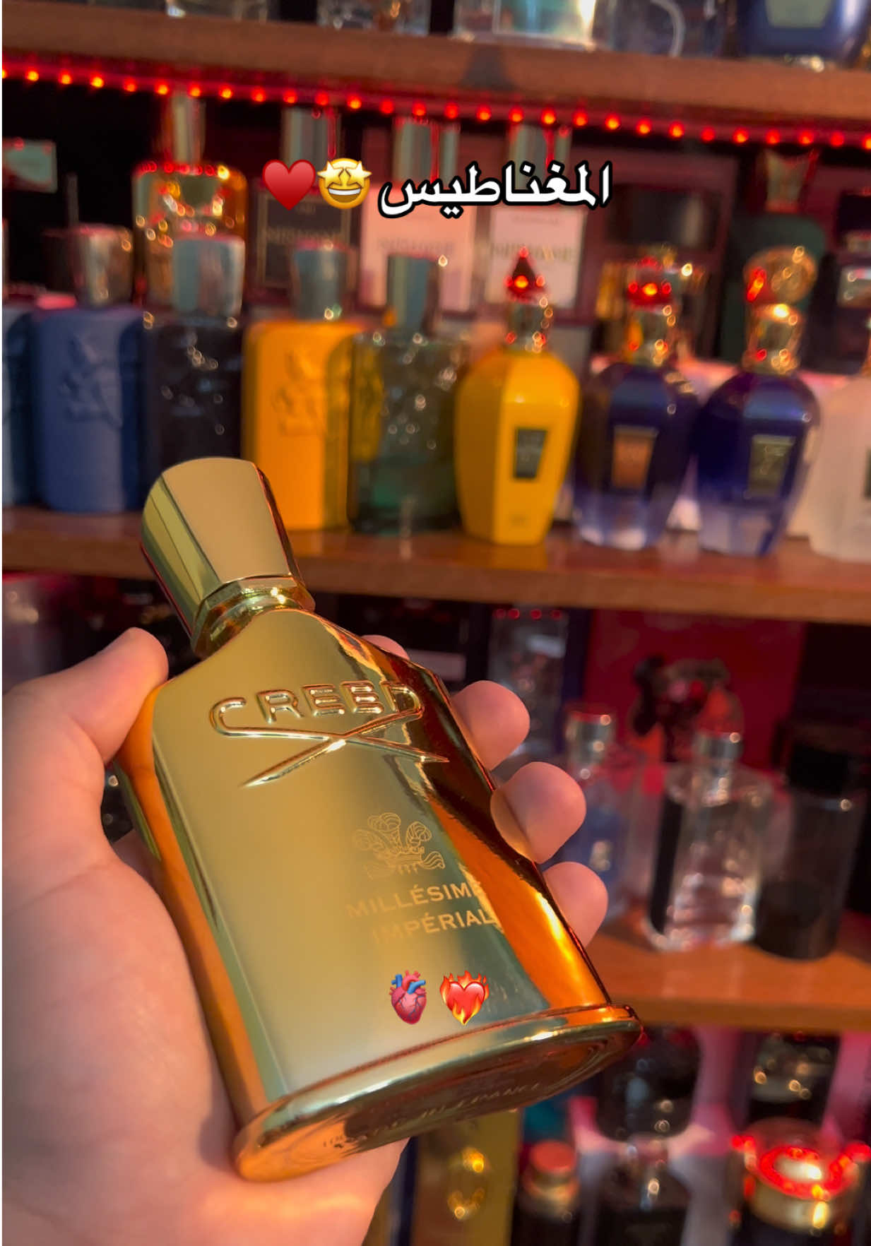 @perfumier.noble.dz
