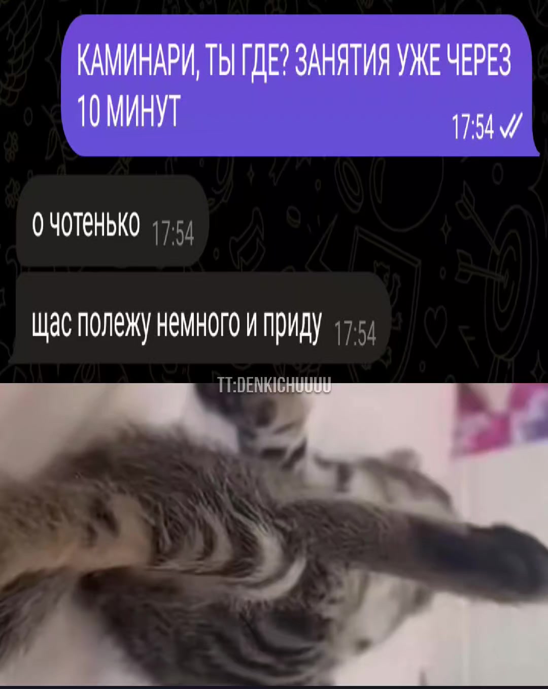 @денкичу✴️✳️