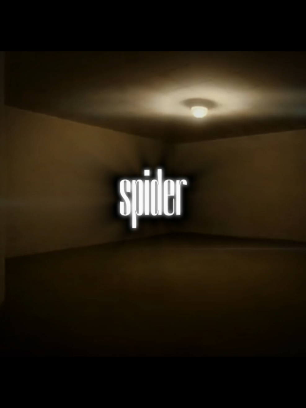 @vnospider_editzx