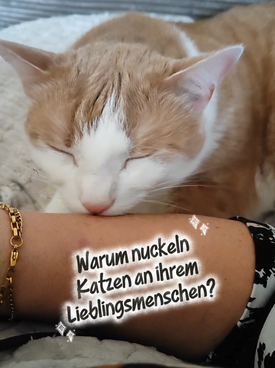 @😻нⷩeͤjdͩiͥneͤ😻