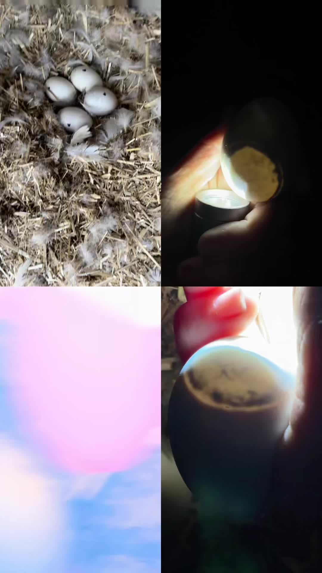 @SomeLikeItHomegrown