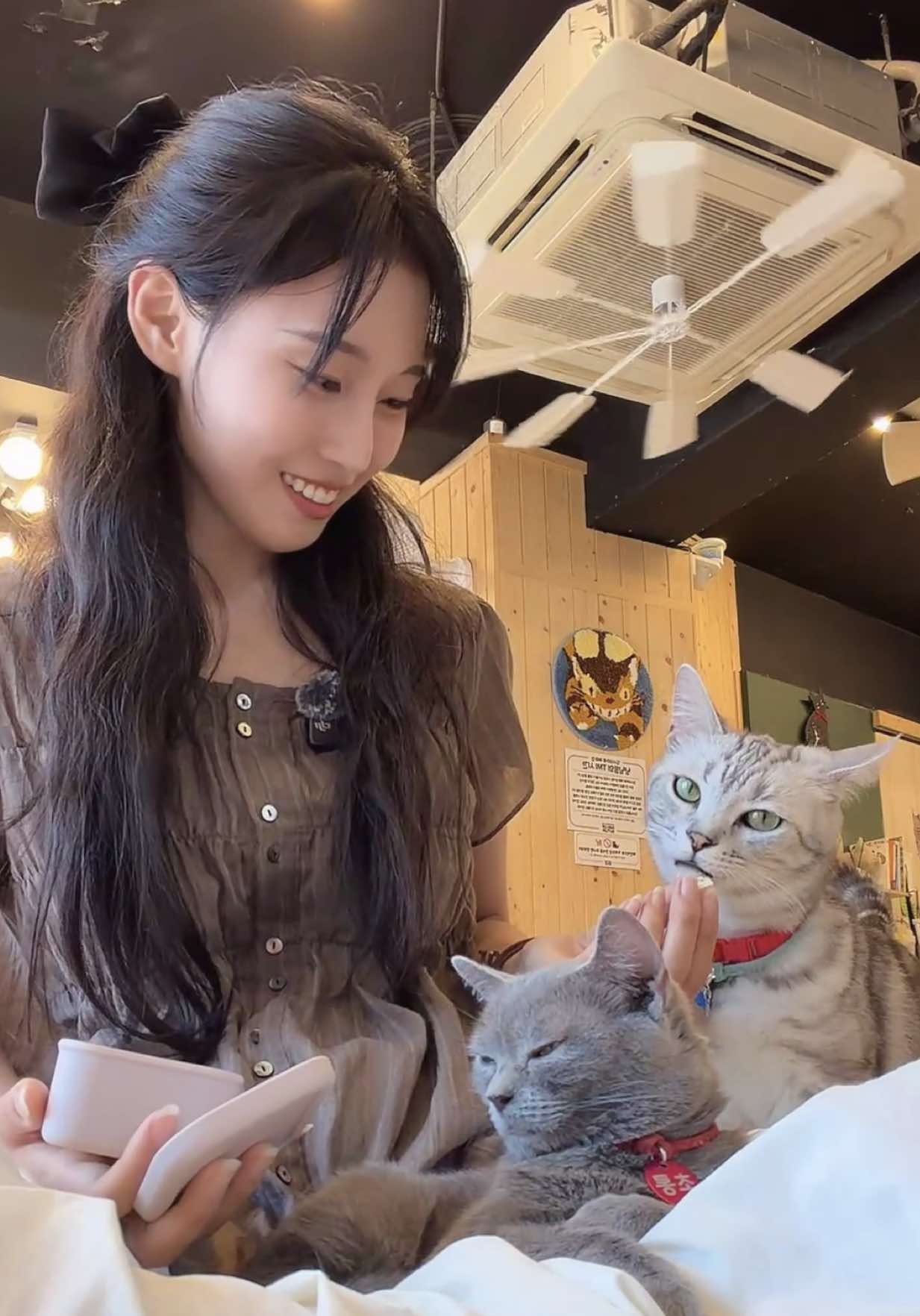 @🐹하영 Ha young🤟🏻