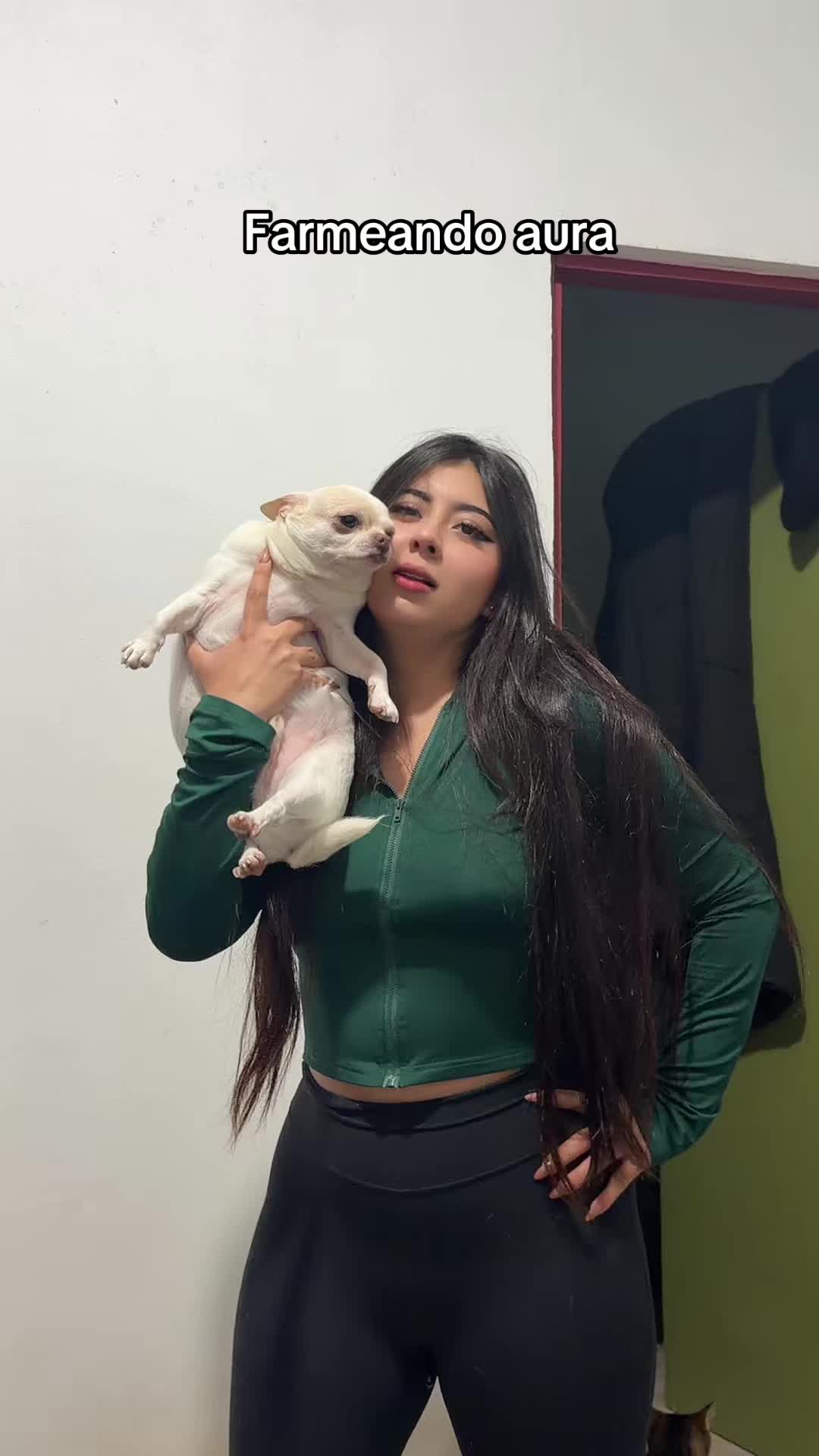 @Miniakane
