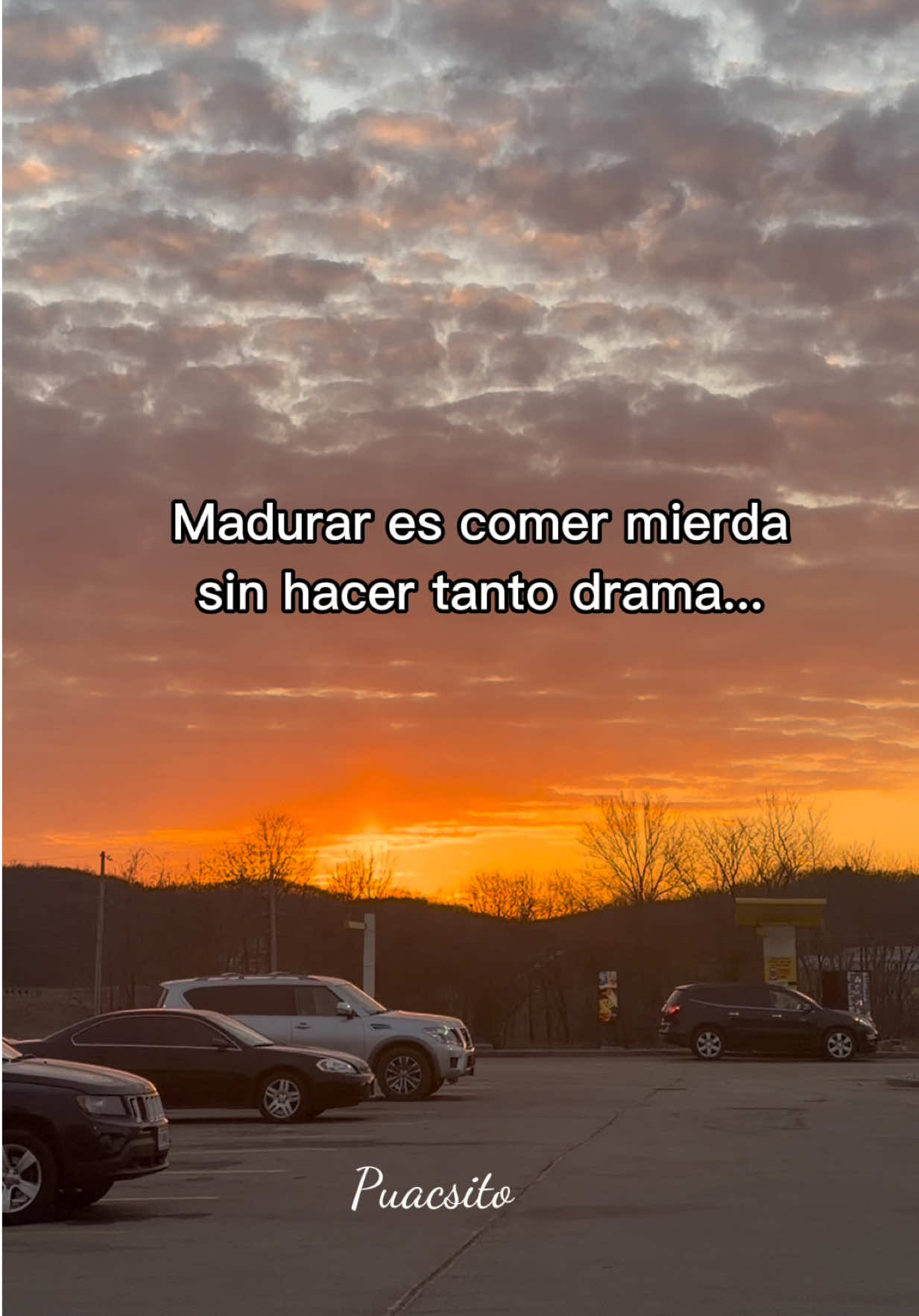 @Puacsito