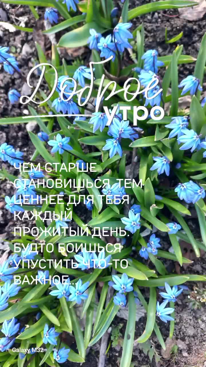 @Ирина