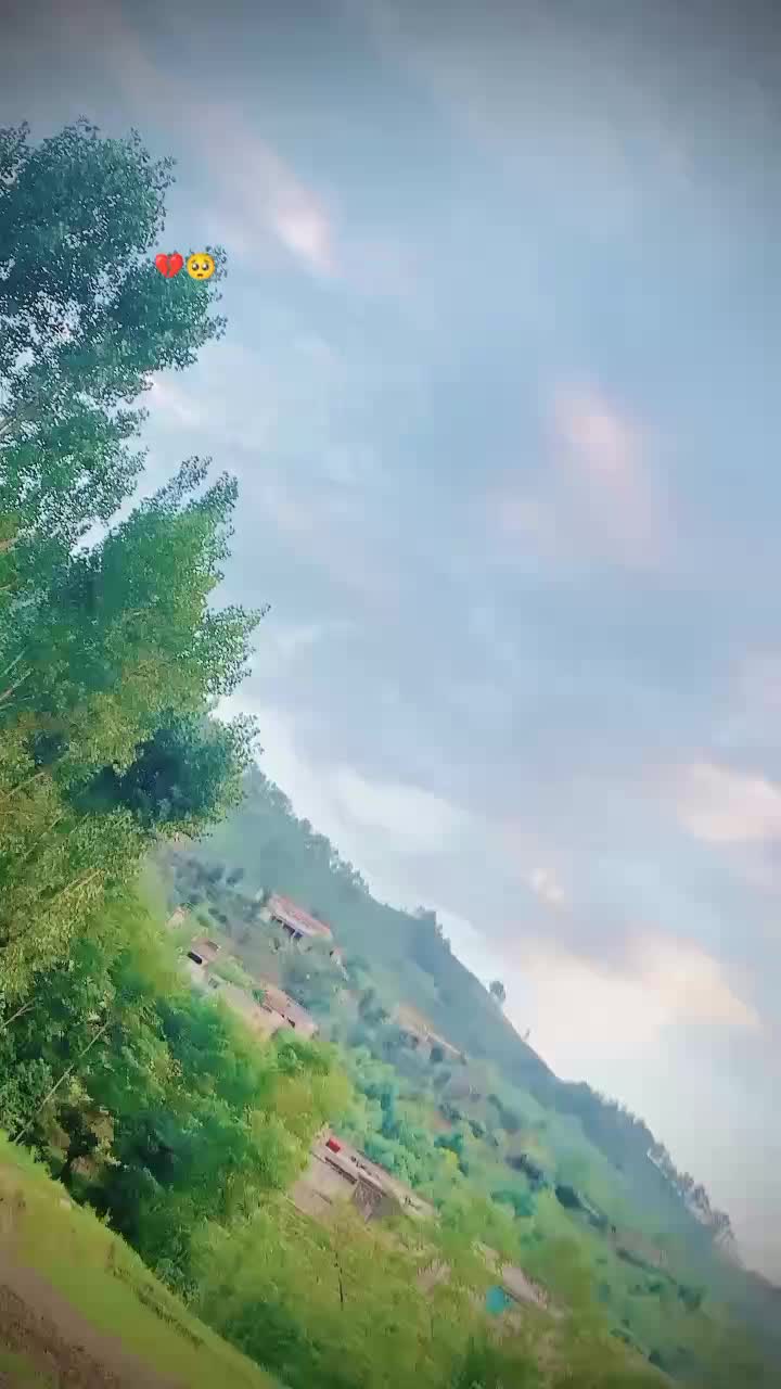 @Sayyed باسیم 🚩