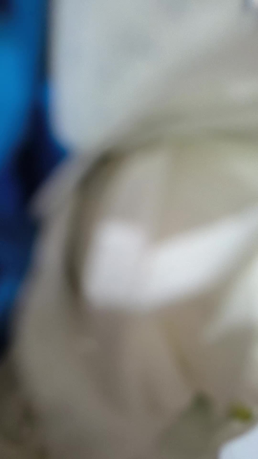 @Giovanna Costanzo