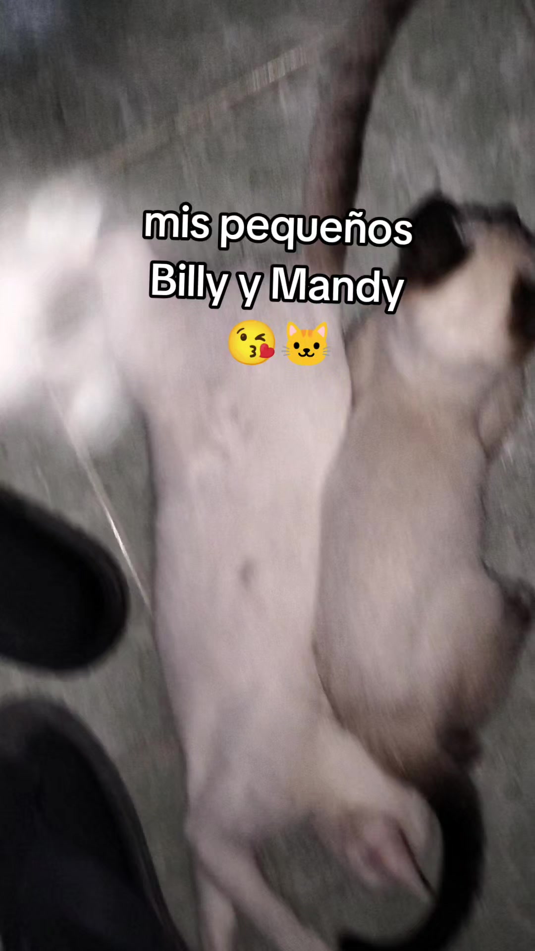 @EMILIO_CVZ