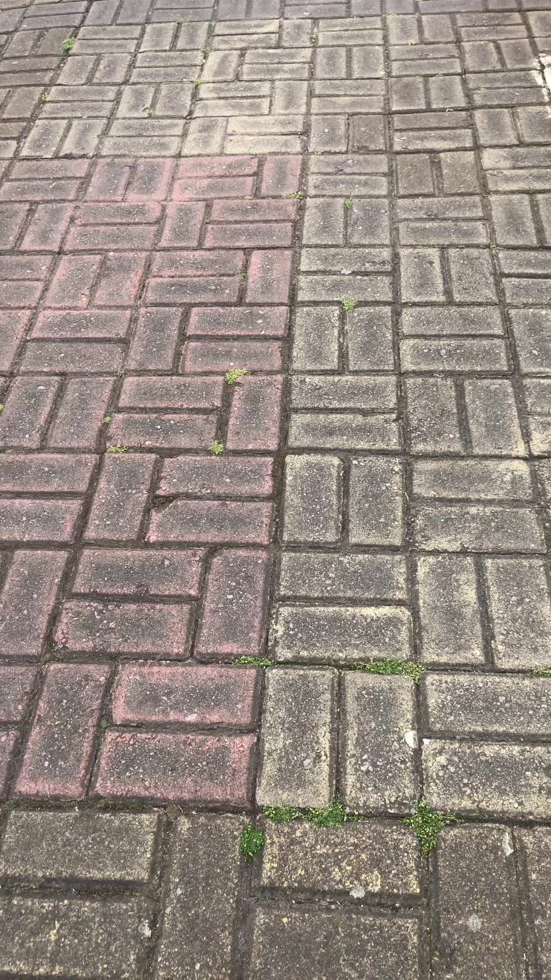 @PEPE THOBÍAS