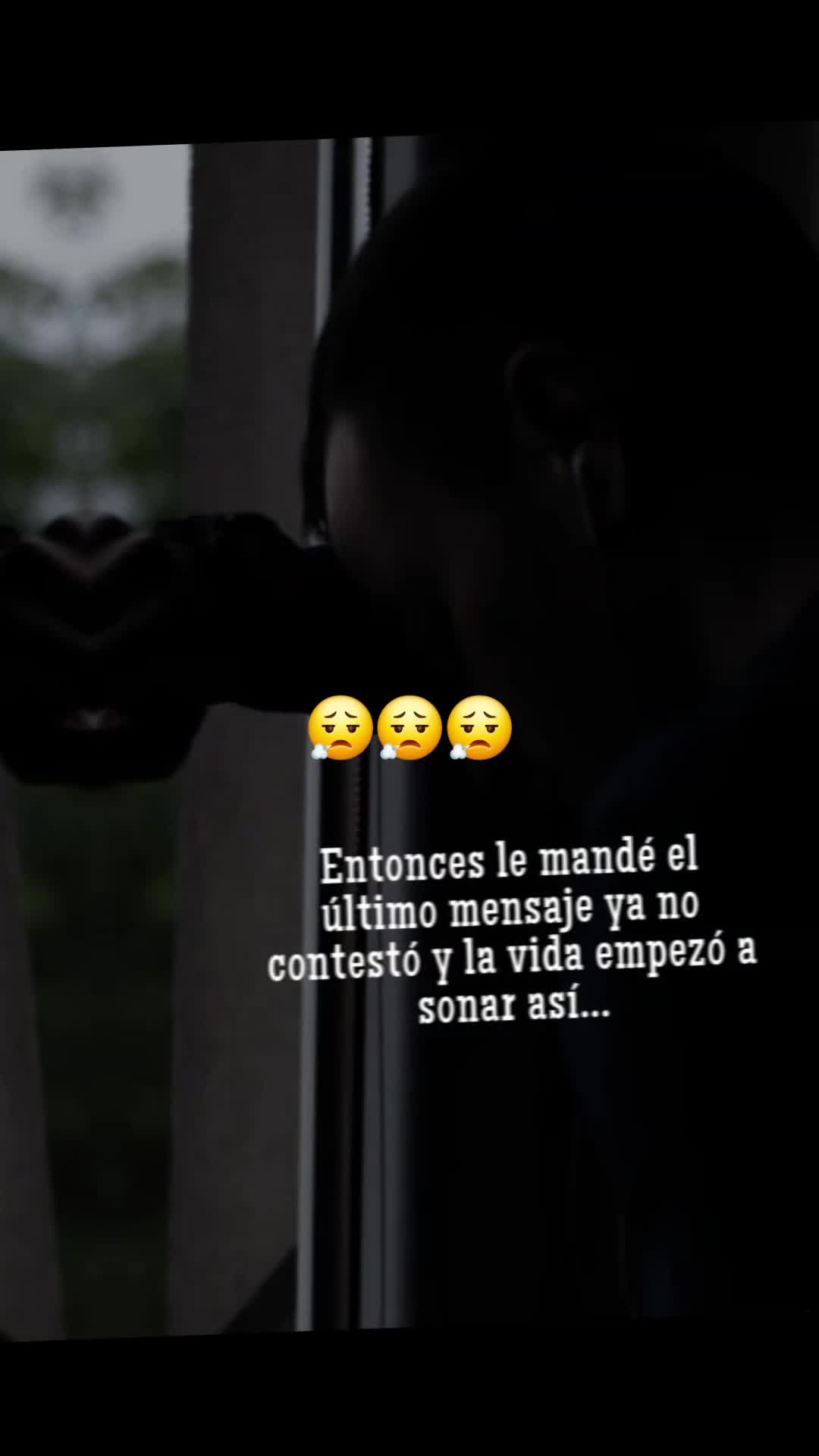 @damarishernandez649