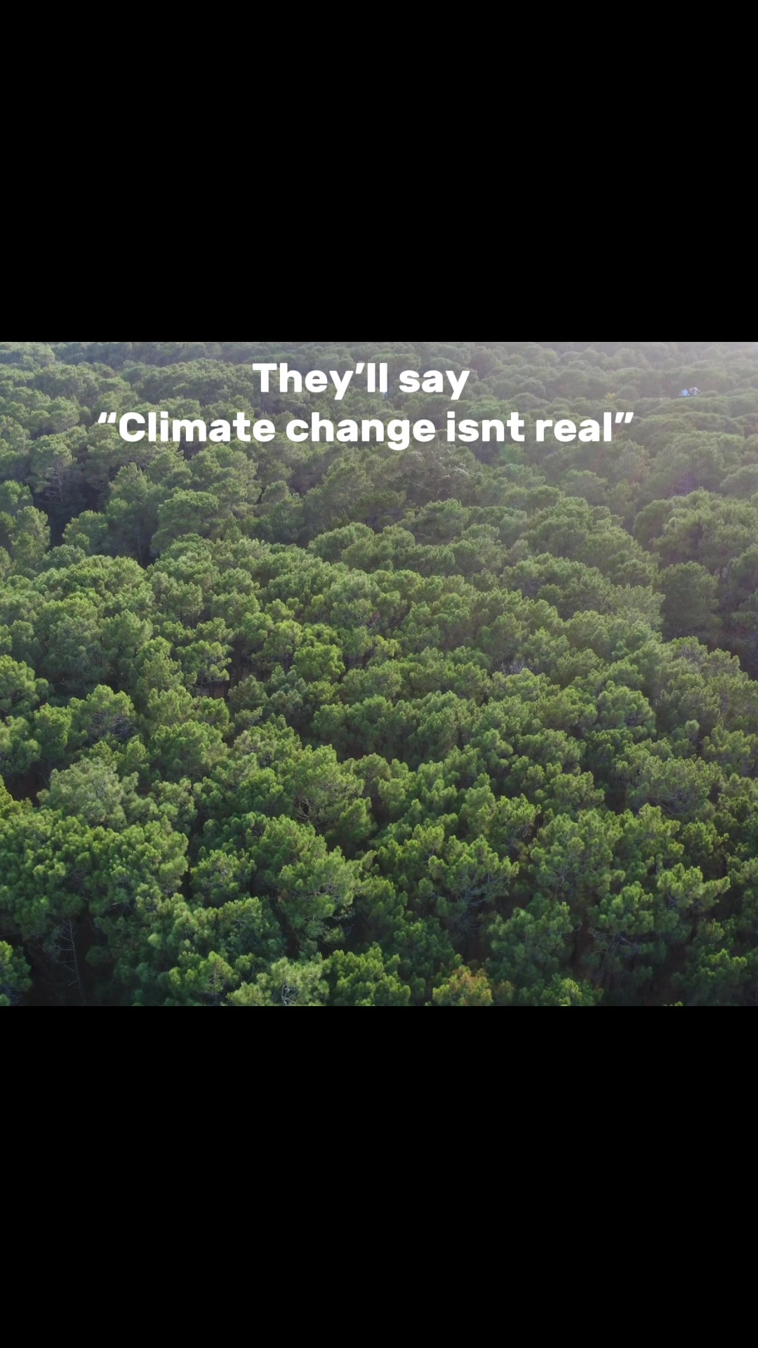 @TruthSeeker