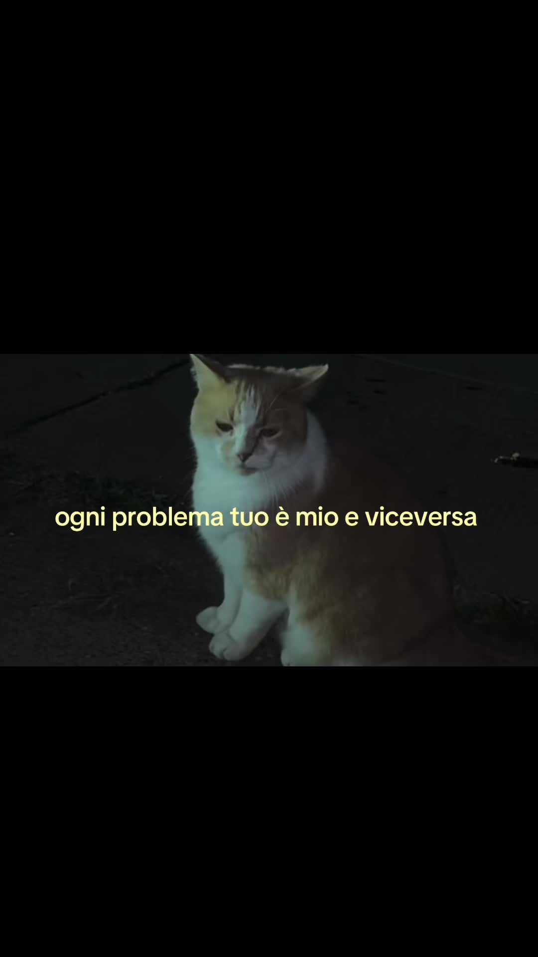 @marti🐈⬛