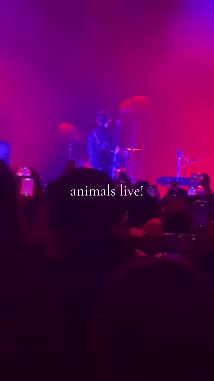 @Silvaisthegoat