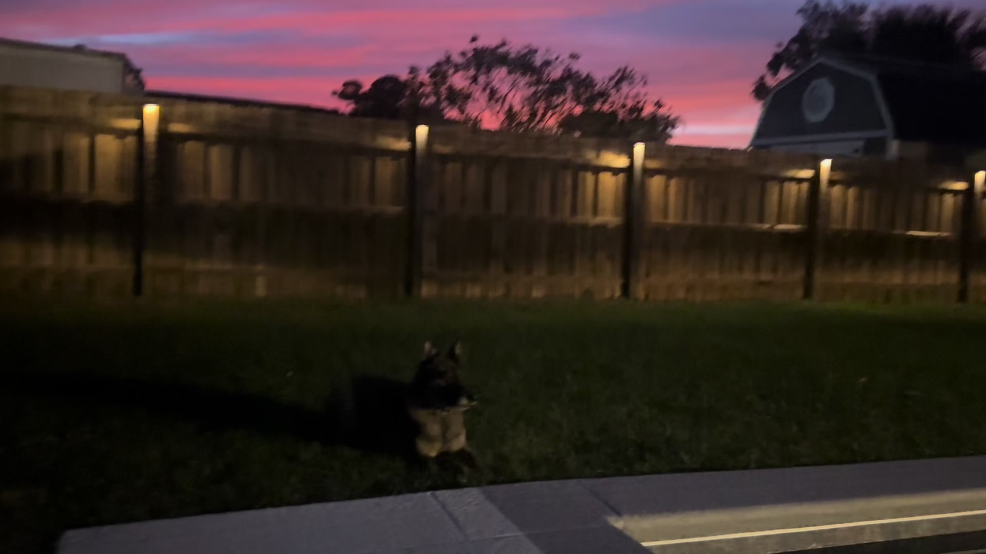 @K9.corporal