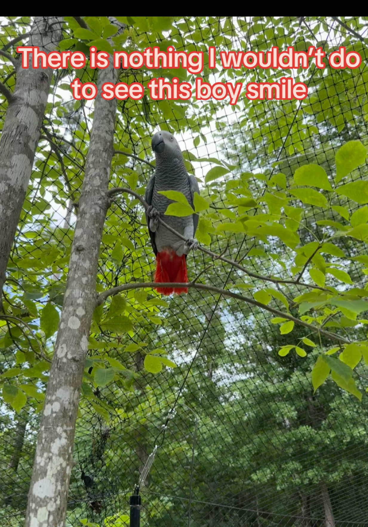 @thehinzoo