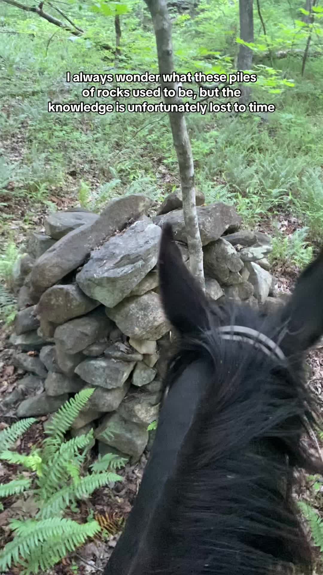 @SlowlaneFarm