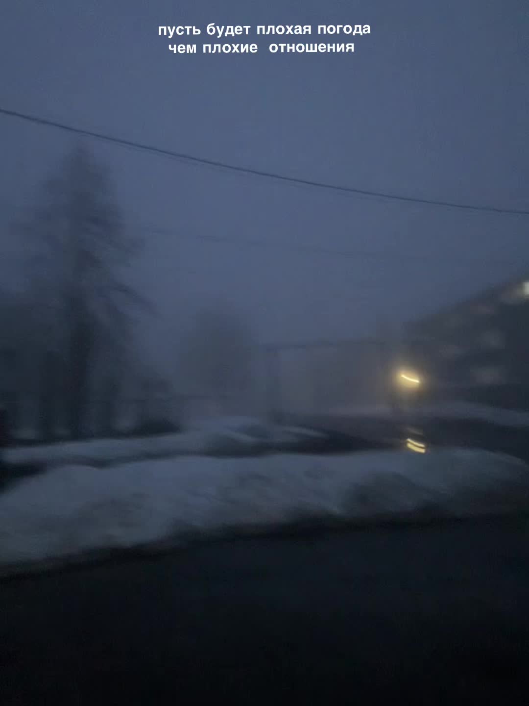 @тгк:русая🐈