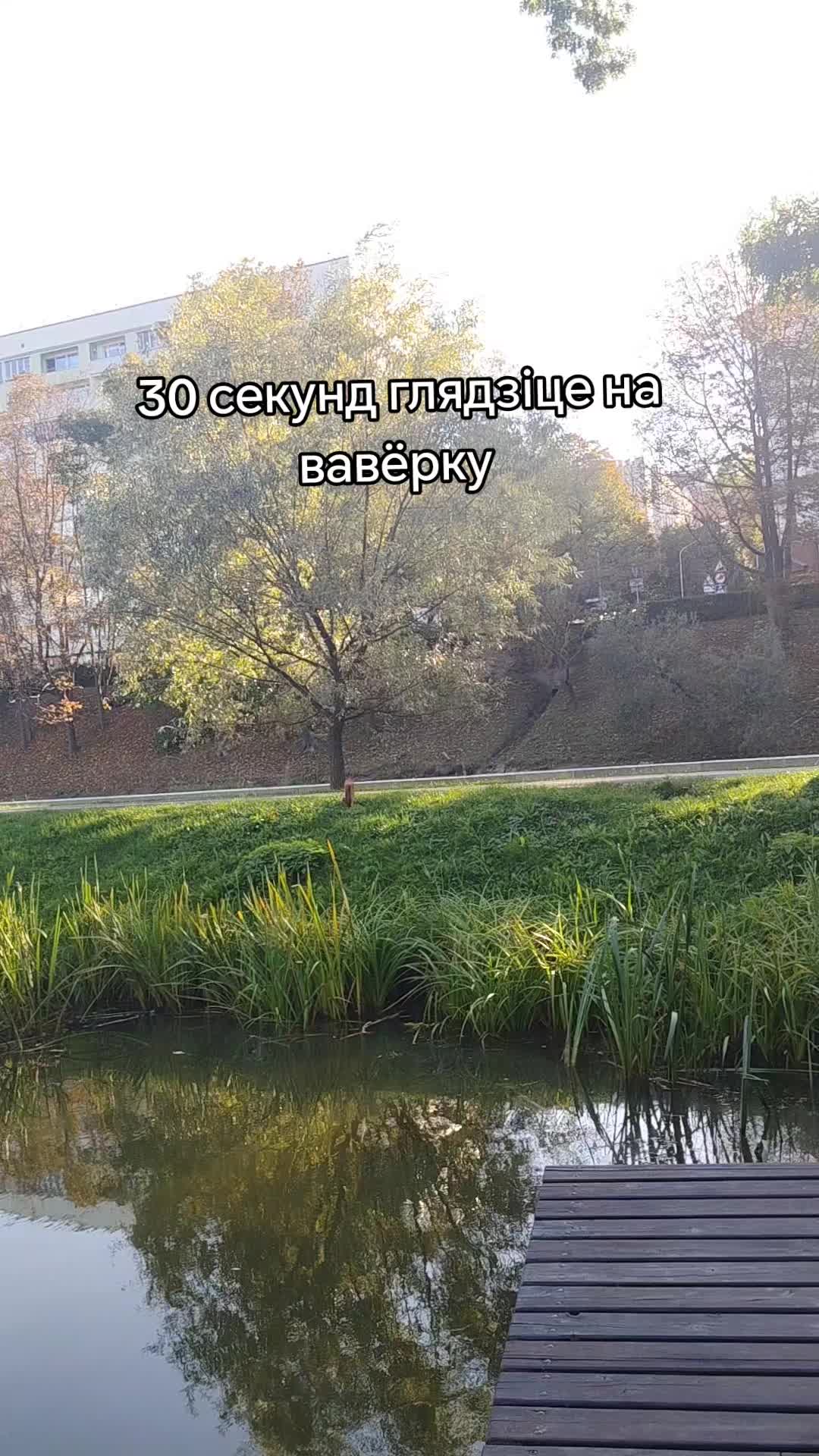 @Лена з бясконцага лета