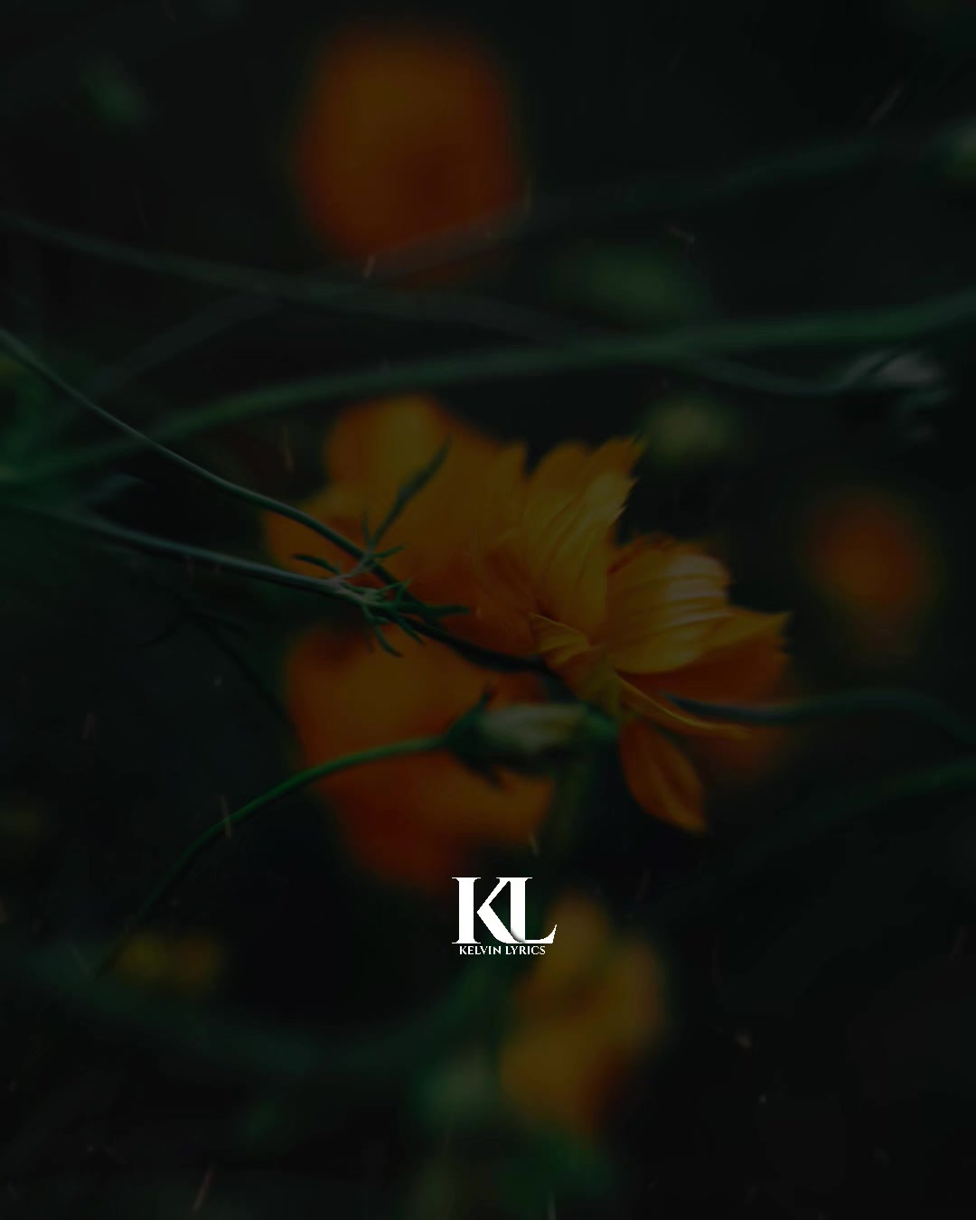 @𝐊𝐈𝐍𝐆 𝐎𝐅 𝐋𝐘𝐑𝐈𝐂𝐒