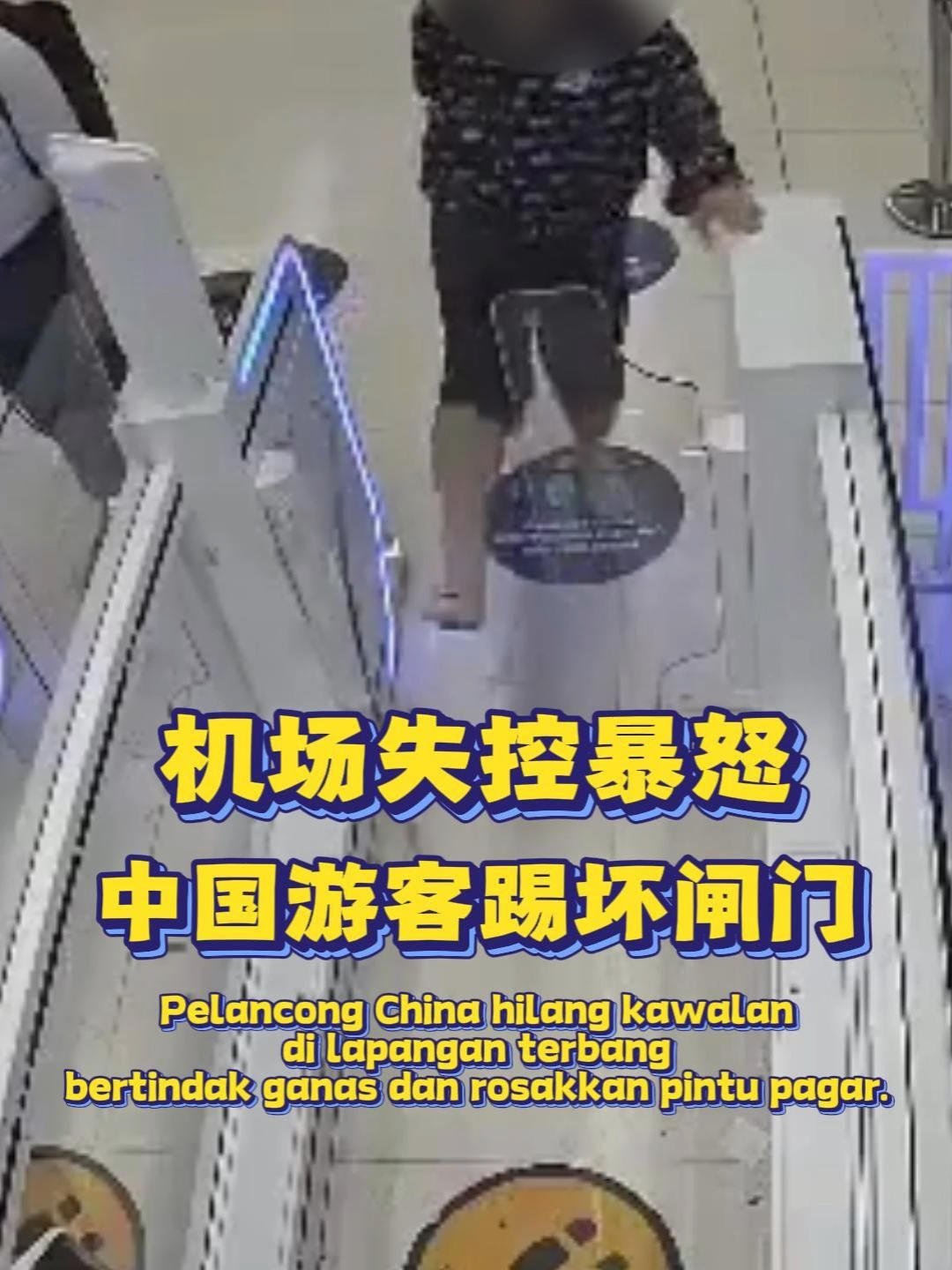 @中国报