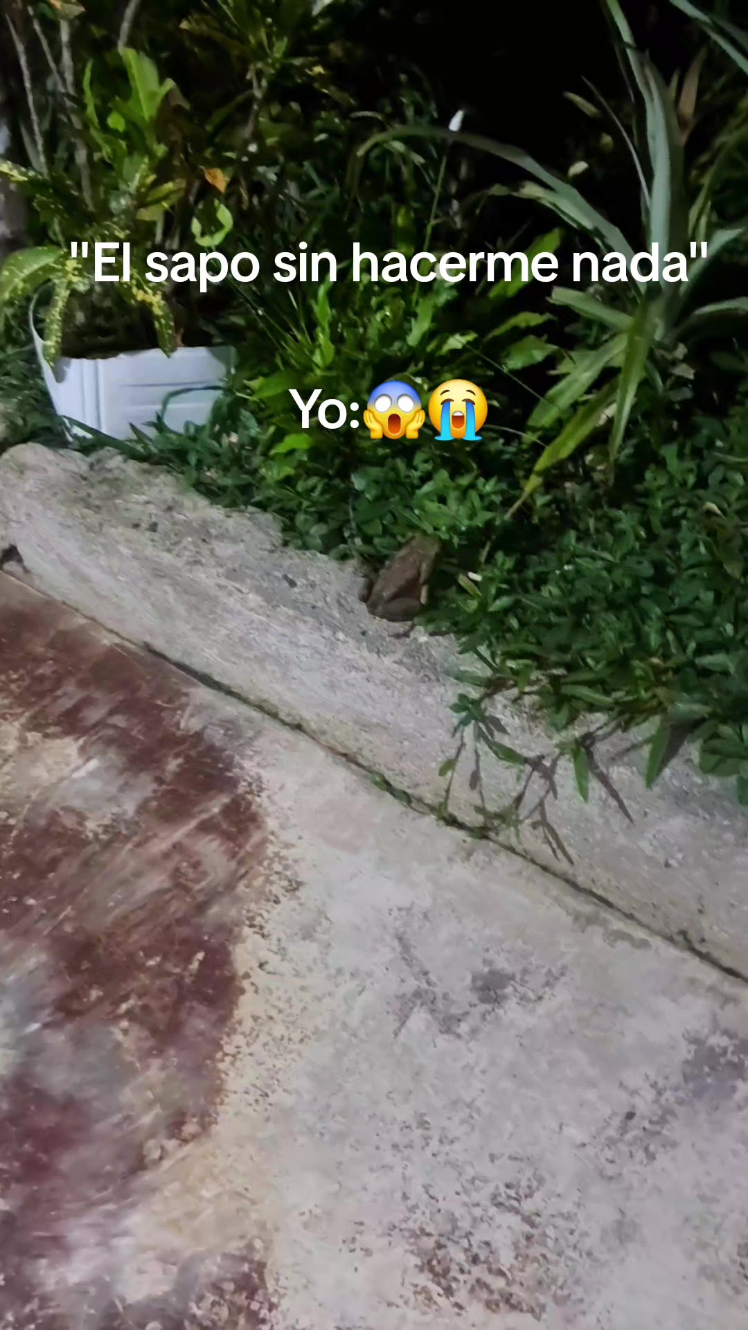 @aleja👩🏻🌾⚡️
