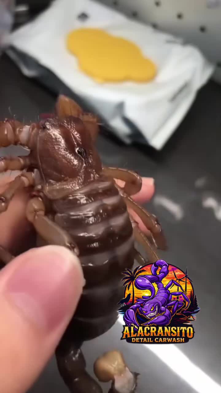 @videoscarwash